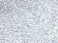 EB07133 2