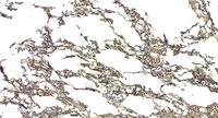 EB05419 4
