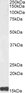 Goat Anti-AIF1/IBA1 isoform 1 and 3 (Mouse reactivity only) Antibody