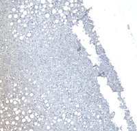 EB12281 3