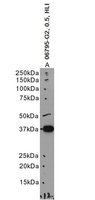 EB06795 1