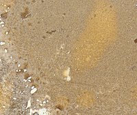 EB06795 3