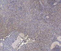 EB06795 5