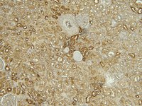 EB11759 3