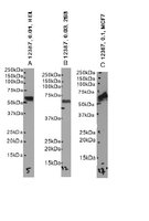 EB12387 1