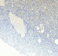 EB12341 3