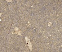 EB12340 2