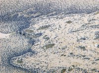 EB12597 4