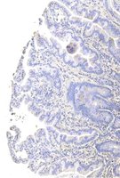 EB12552 2