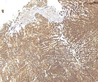 EB10739 1