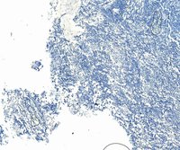 EB10739 2