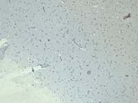 EB07258 3