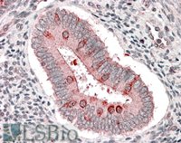 EB07221 2