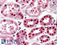 EB10955 2