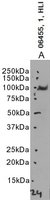 EB06455 1
