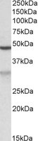 EB10797 1