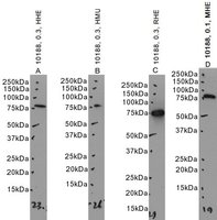 EB10188 2