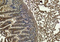 EB11413 2