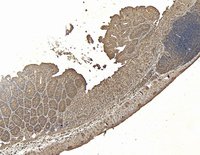 EB11413 4