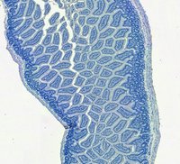EB11413 5