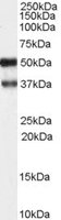 EB05269 1