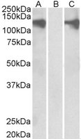EB06679 1