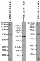 EB08932 1