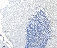 EB05045 2