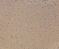 EB05045 3