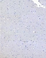 EB05045 4