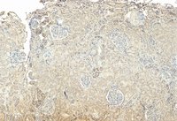 EB09209 3