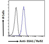 Goat Anti-SSA1 / Ro52 Antibody (EB05901) - Everest Biotech Ltd