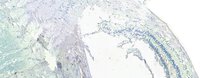 EB07599 2